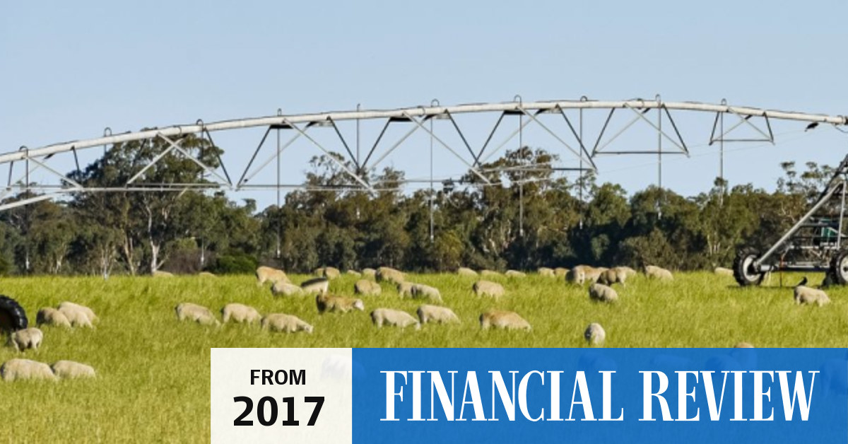 Hawkins family buy Camperdown Dairy farms for 13m